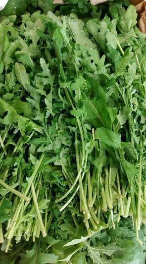 Arugula