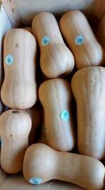 Doubeurre butternut