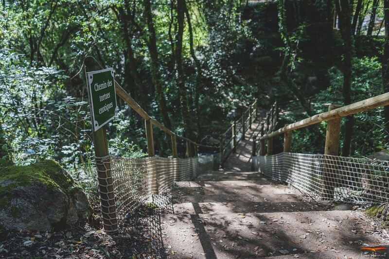 Parco Tartarughe A Cupulatta Vero