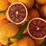 Oranges sanguines bio - Maraîcher L Ortu Di San Ghjuvà - Cauro, Corse