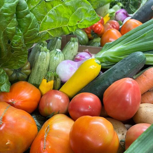 Panier de Légumes Bio