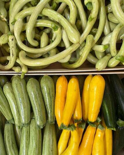 Varietes courgettes bio - Maraîcher L Ortu Di San Ghjuvà - Cauro, Corse