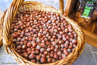 Hazelnuts Biscuit Factory Casa Agostini San Giuliano