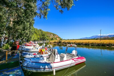 Moored boats