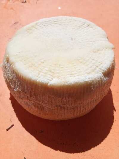 Fromage chevre fromagerie