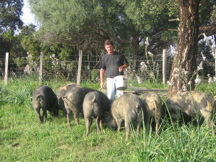 Jean pascal piazzoli allevatore produttore salumiere corsiche