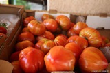 Tomates - U Spurtellu - Patrimonio, Corse