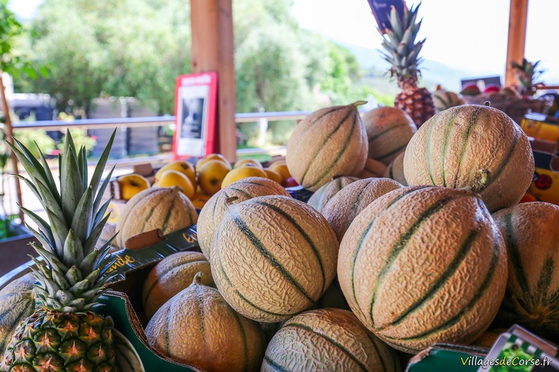 Melons corses - U Spurtellu - Patrimonio, Corse