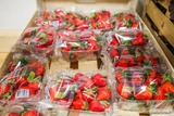 Corsican Strawberries Tisori Nostri Ajaccio