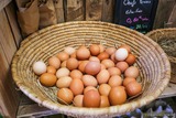 Fresh Eggs Tisori Nostri Grocery