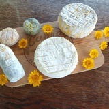 Board of Corsican Cheeses