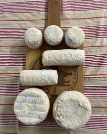 Crottin de chèvre