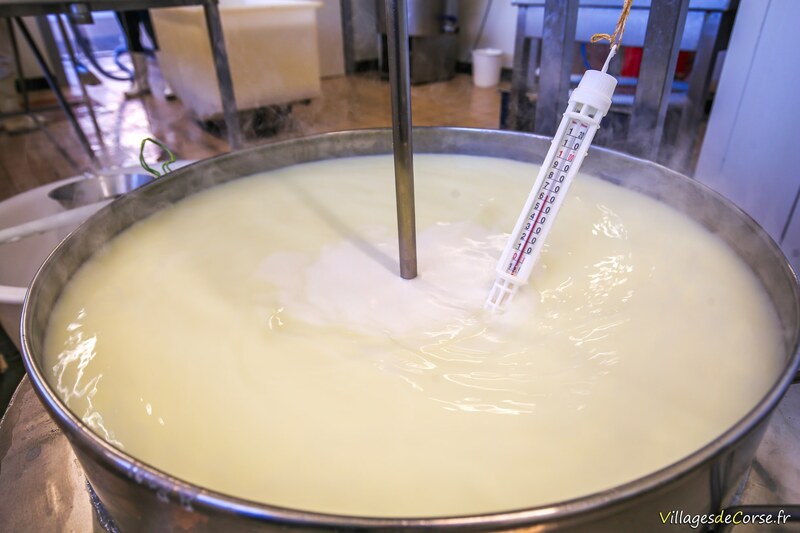 Raising the temperature of the whey to make brocciu