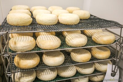 Formaggio di pecora affinato di gaec di vallecalle corse