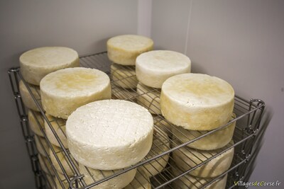 Tomme de brebis