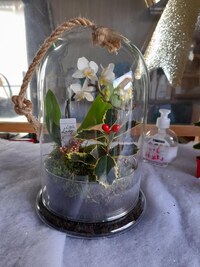 Terrarium