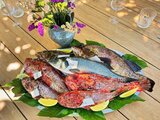 Chapon merou et loup en peche du jour poisson - Restaurant U Palmentu - Centuri, Corse
