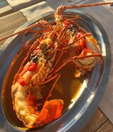 Lobster de centuri - Restaurant U Palmentu - Centuri, Corsica
