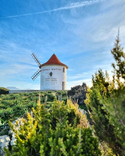 Moulin LN Mattei Cap Corse