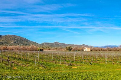 Domaine Maestracci - 14 mars 2017