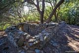 Baum in zerfallenem Haus, verlassenes Dorf in Mata Cap Corse - 17/09/2016