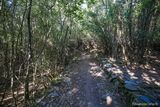 Chemin village Abandonne Mata Cap Corse Luri - 17/09/2016