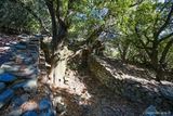 Casa Ruine villaggio Abandone Mata Cap Corse - 17/09/2016