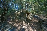 House in the abandoned village of Mata in Luri - 17/09/2016