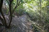 Abandoned village of Mata in Luri - 17/09/2016