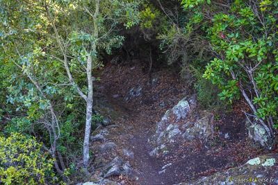 Abandoned village trail from Mata to Luri - 17/09/2016