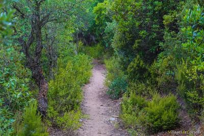 Wanderung zum verlassenen Dorf Caracu Meria - 16092016