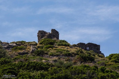 Tour Génoise Castellare - Ampuglia - Aquila à Pietracorbara, le 15/08/2014