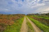 Sentier Canal Mucchiatana Venzolasca - 16/12/2018