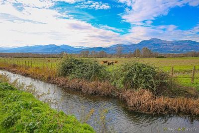 Ruisseau Ciavattone à Venzolasca, le 16/12/2018