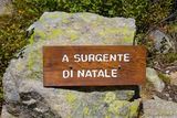 Source A Surgente di Natale in Corte, 28/09/2014