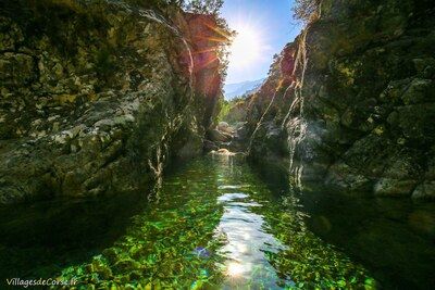 Restonica-Fluss in Corte, 14.08.2020