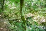 Pont en Bois Sentier Archeologique de Vizzavona Vivario - 05/07/2016