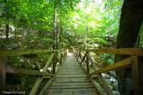 Pont en Bois Sentier Archeologique de Vizzavona Vivario - 05/07/2016