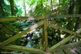 Pont en Bois Sentier Archeologique de Vizzavona Vivario - 05/07/2016