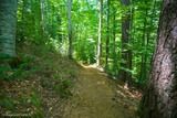 Sentier Archeologique de Vizzavona Vivario - 05/07/2016