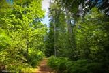 Sentier Archeologique de Vizzavona Vivario - 05/07/2016