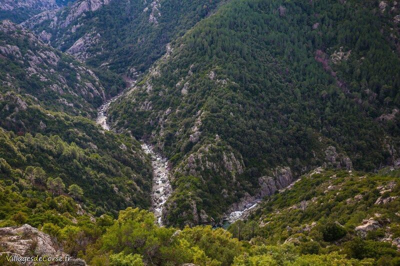 Fiume Vechju a Vivario, 22/12/2020