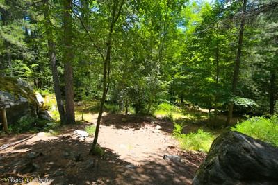 Forêt Vizzavona in Vivario am 05072016