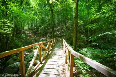 Pont en Bois Vizzavona Sentier Archeologique de Vizzavona Vivario - 05/07/2016