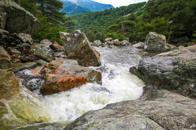 Fluss Agnone in Vivario am 31082019