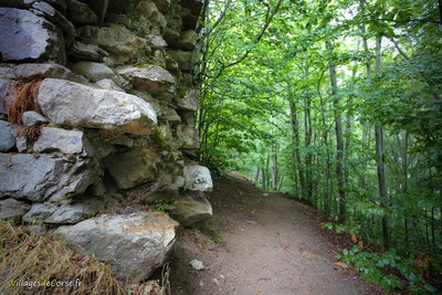 Sentier Randonnee Cascade Des Anglais Vivario - 31/08/2019