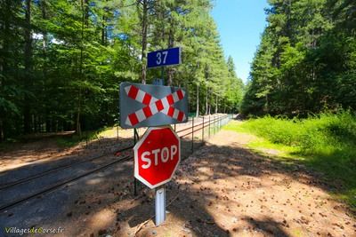 Traversee Voie Ferree Sentier Archeologique de Vizzavona Vivario - 05/07/2016