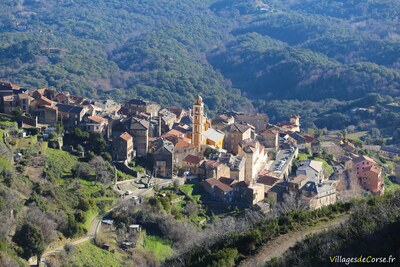 Village Cervione - 13/01/2022