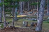 Jay Lake Creno Orto - 26/08/2012