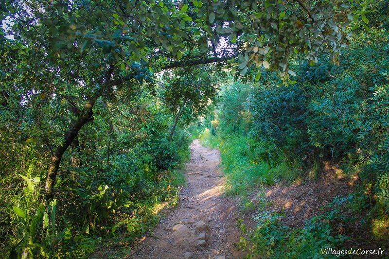 Sentier Balade Des Anglais Ajaccio - 09/05/2013